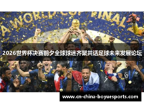 2026世界杯决赛前夕全球球迷齐聚共话足球未来发展论坛