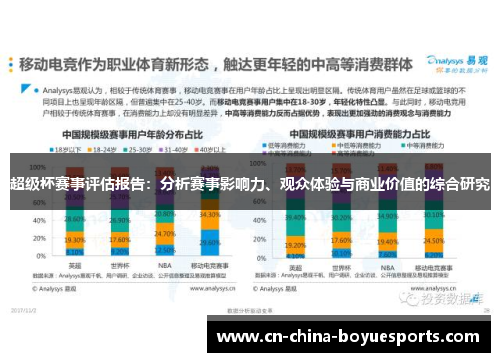 超级杯赛事评估报告：分析赛事影响力、观众体验与商业价值的综合研究