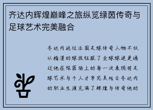 齐达内辉煌巅峰之旅纵览绿茵传奇与足球艺术完美融合